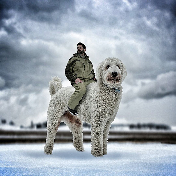 giant-dog-photoshop-adventures-juji-christopher-cline-4