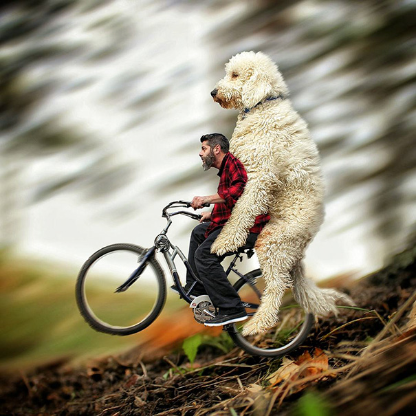 Photographer Photoshops His Dog Into A Giant