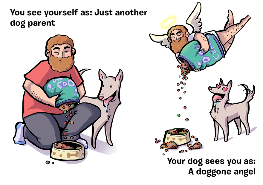 How You See Yourself Vs How Your Dog Sees You