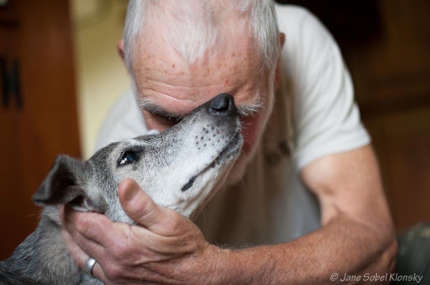 I Photograph The Special Bond Between Old Dogs And The People Who Love Them