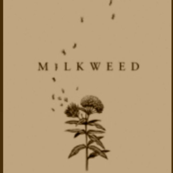 Milkweed By Jerry Spinelli