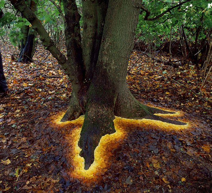 Magical Land Art By Andy Goldsworthy