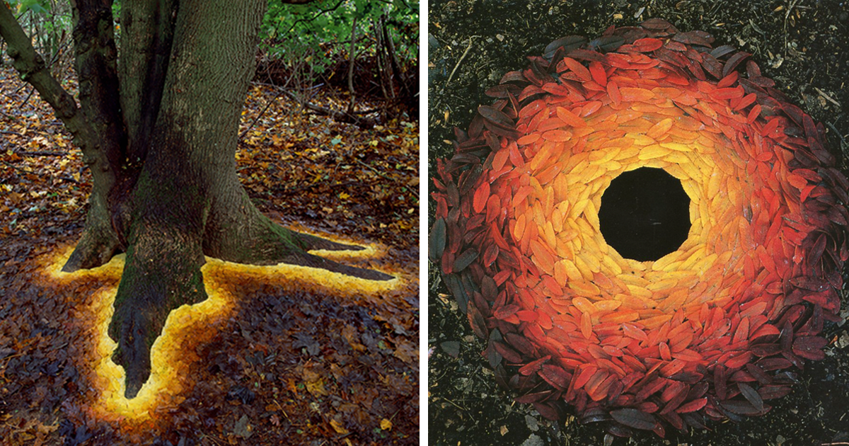Magical Land Art By Andy Goldsworthy Bored Panda