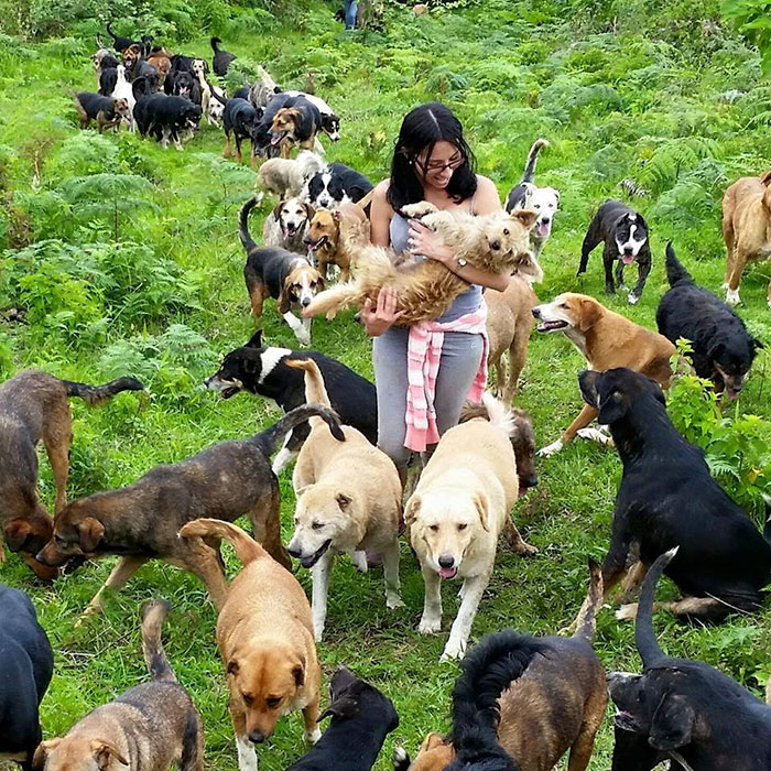 Land of the Strays in Costa Rica Is Heaven On Earth For Stray Dogs | Bored  Panda