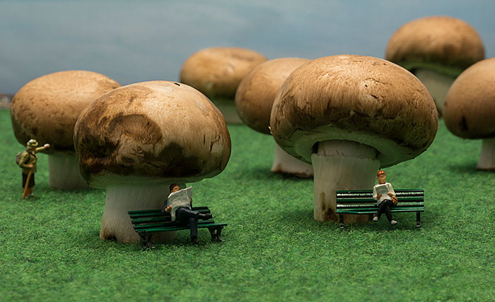 I Capture Everyday Lives Of Miniature People