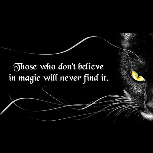 Magic