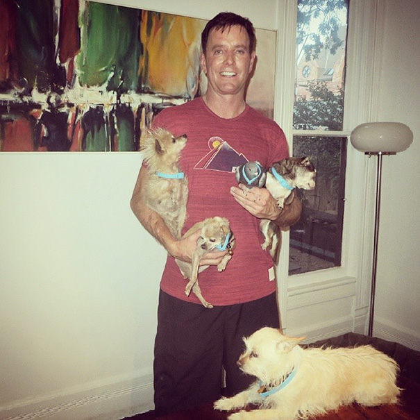 Man Devotes His Life To Adopting Old Dogs Who Can't Find Forever Homes