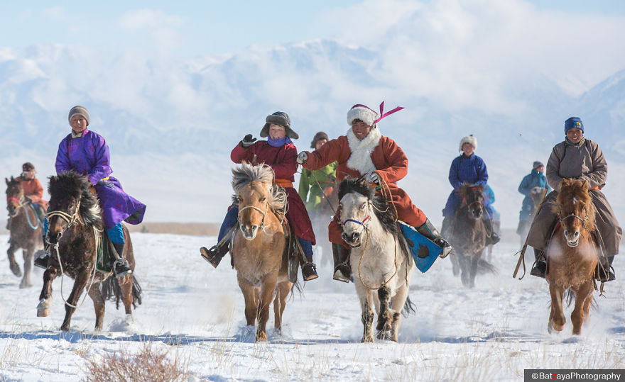 Moments From Camel Race From Silver Reeds Winter Festival In Mongolia
