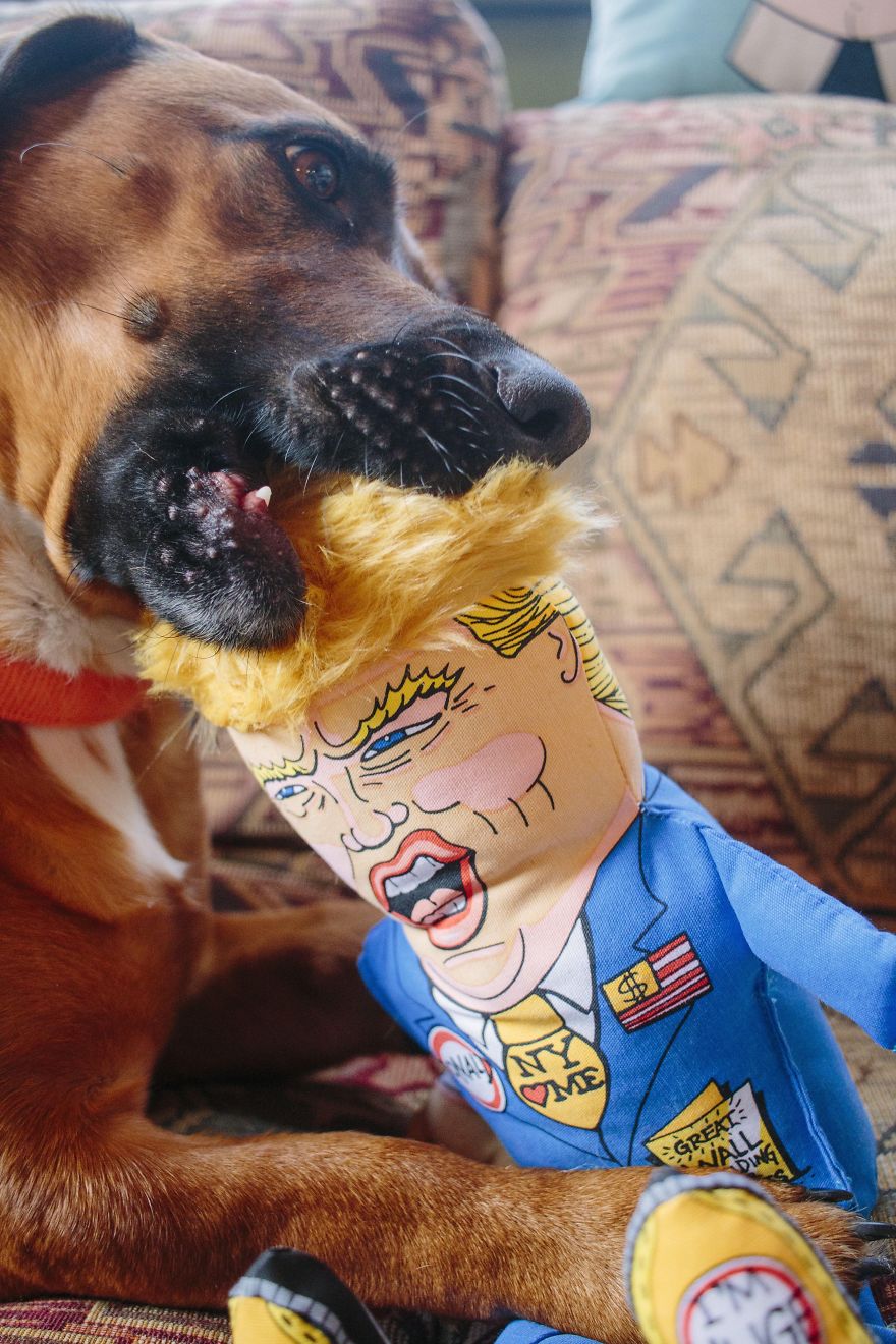 My Dog Roughing Up Donald!