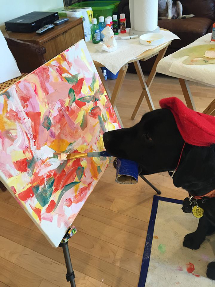 Meet Dogvinci, The Painting Dog That Sells His Art For Good Money