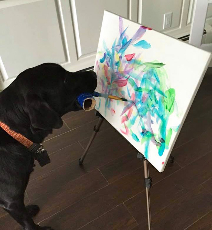 Meet Dogvinci, The Painting Dog That Sells His Art For Good Money