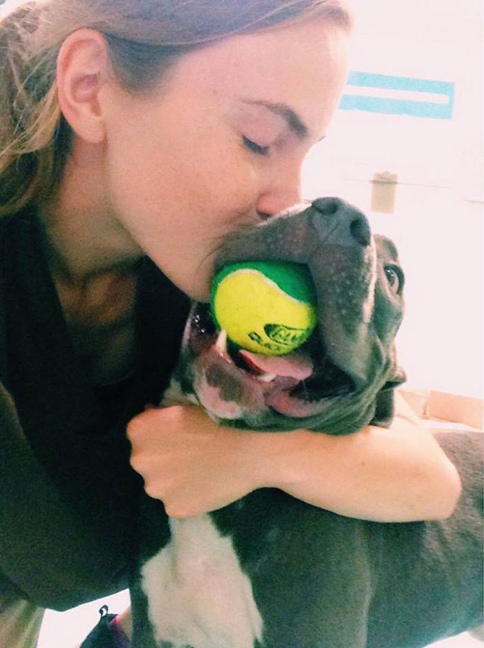 Pitbulls At Animal Shelter Helped Me To Fight My Depression