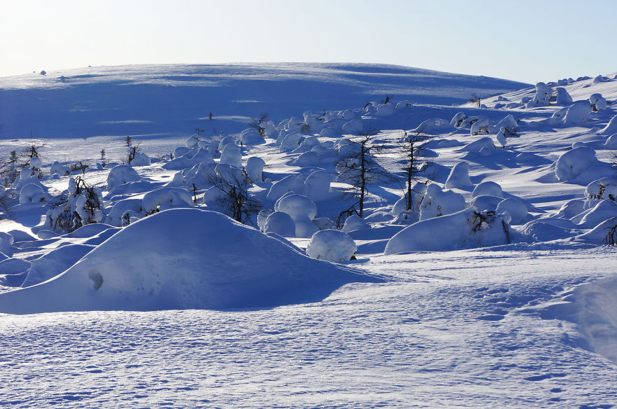 Shadows Of Snow