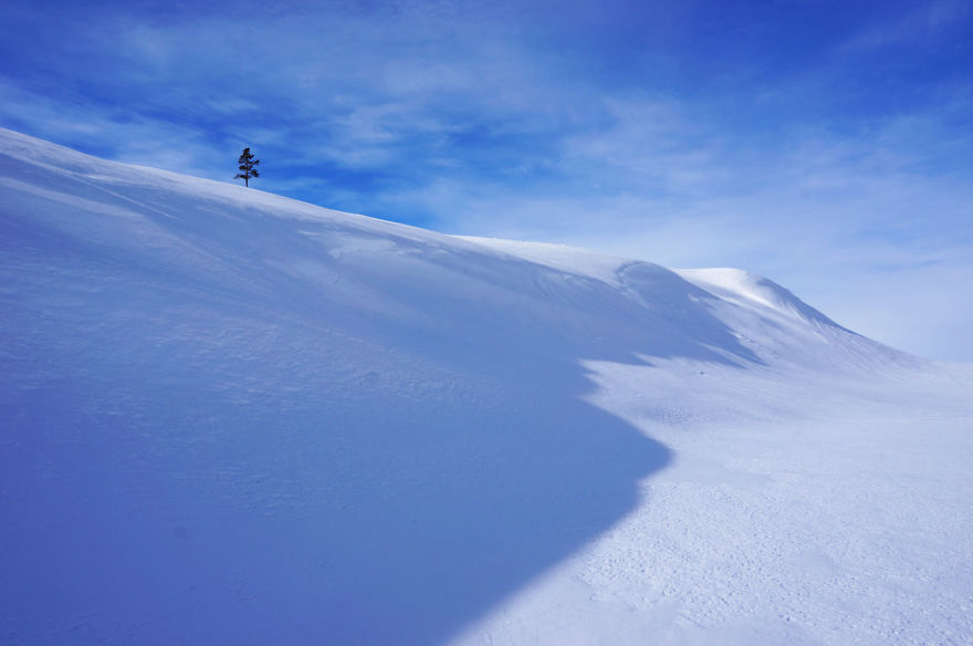 Shadows Of Snow