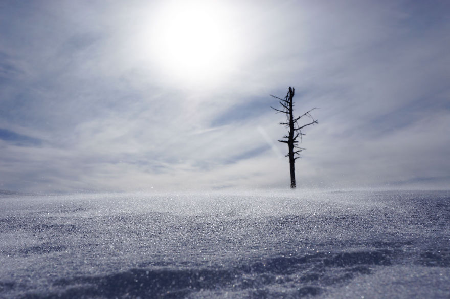 Shadows Of Snow