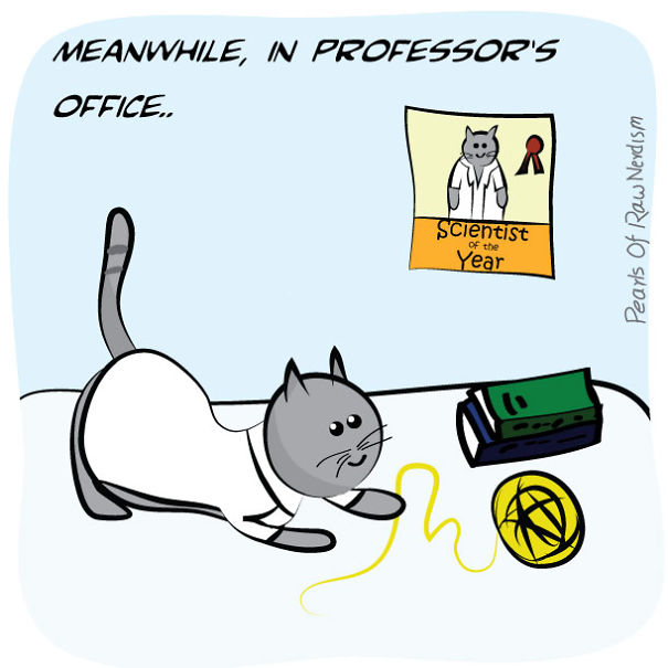 The Adventures Of A Science Cat