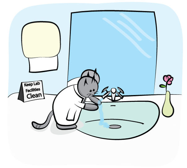 The Adventures Of A Science Cat