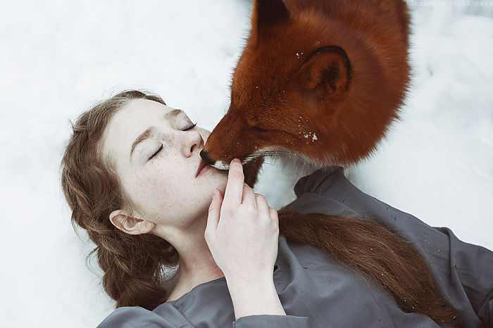 The Girl And The Fox, Two Redheads In One Story