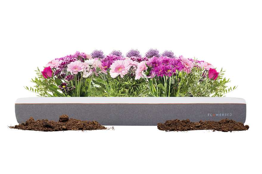 The World's First Plantable Mattress Comes Infused With Seeds