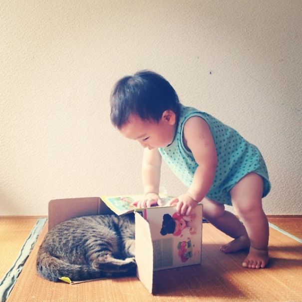 This Japanese Cat Is The Best Sleeping Buddy For His Baby Hoomins
