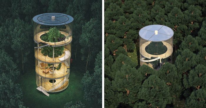Stunning Tubular Glass House Built Around Tree | Bored Panda