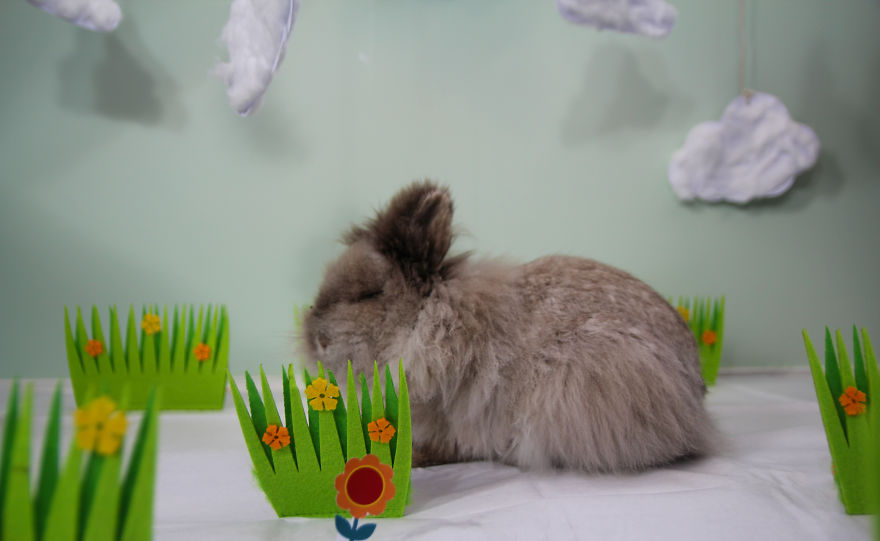 We Invited The Easter Bunny Into Our Photo Shoot