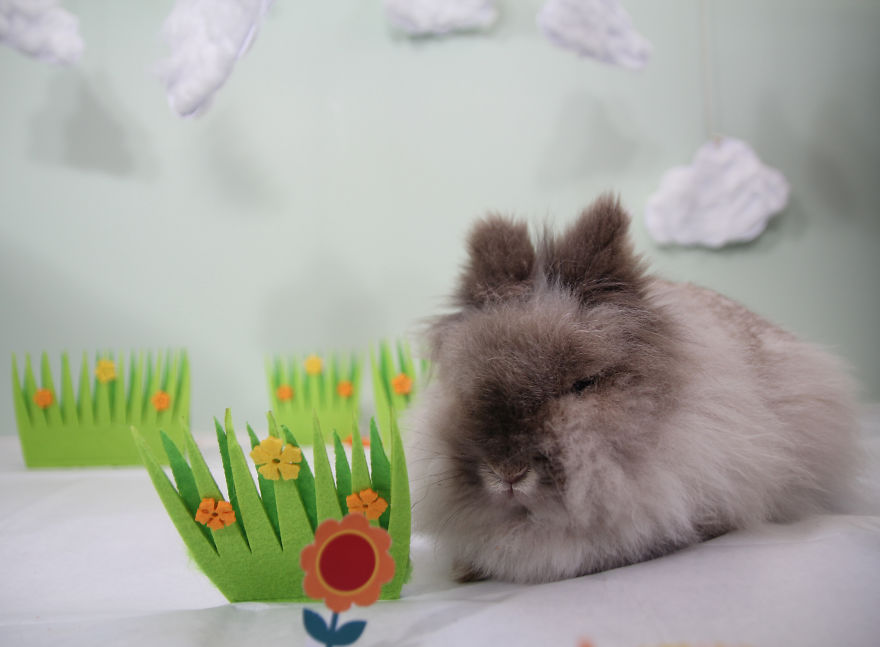 We Invited The Easter Bunny Into Our Photo Shoot