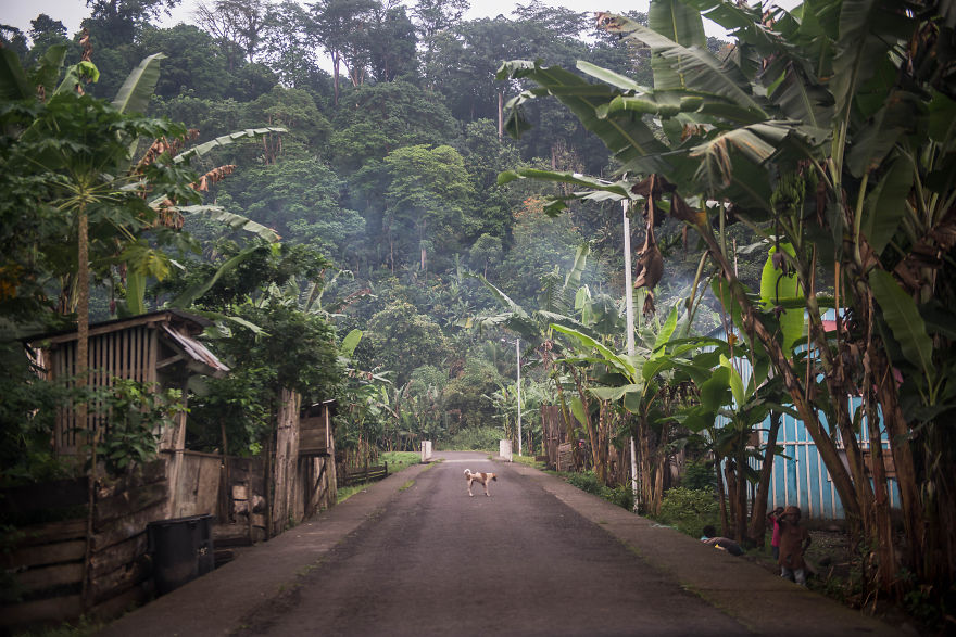 Welcome To São Tomé, The Cocoa Island