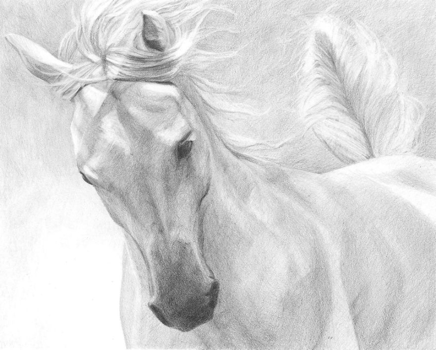 Pencil Drawings By Csilla From Hungary