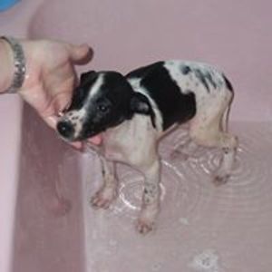 michelle28harrison avatar