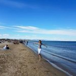 incandessense_ice avatar