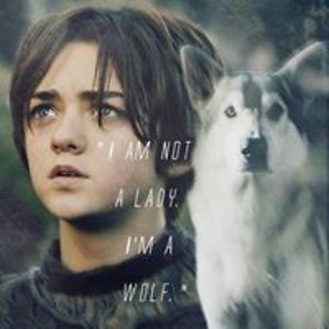 artemisa_1553 avatar