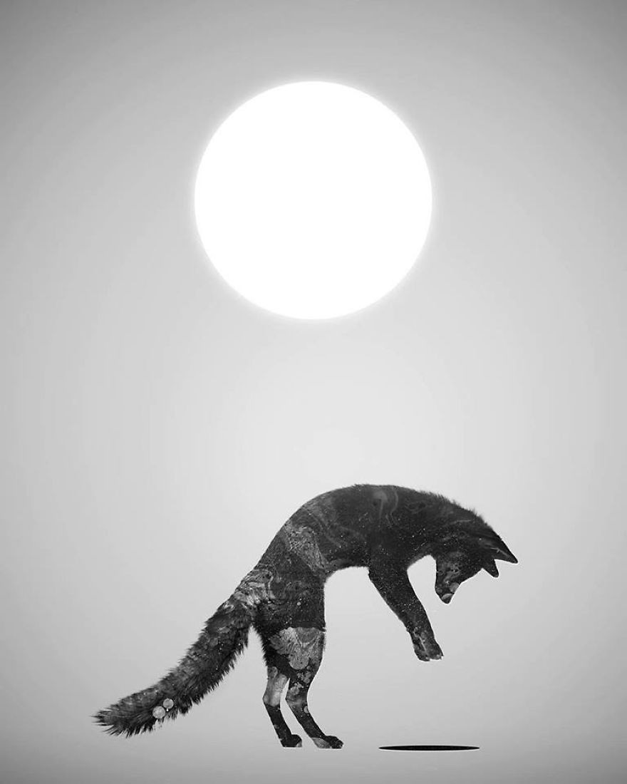 My Monochrome Illustrations Of Animals And Women