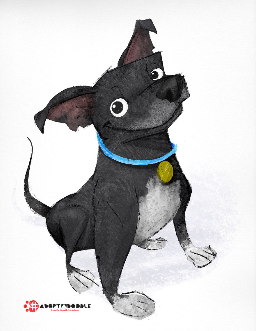 #adoptadoodle Project Draws Animals In Need Of Homes As Children's Book Illustrations
