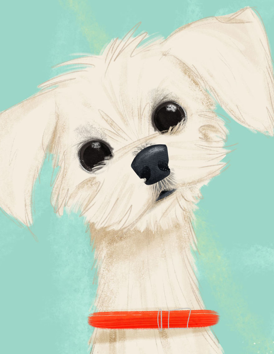 #adoptadoodle Project Draws Animals In Need Of Homes As Children's Book Illustrations