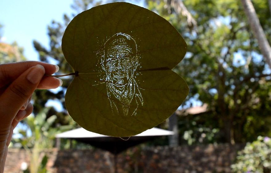 I Create Detailed Portraits On Leaves By Making Tiny Holes