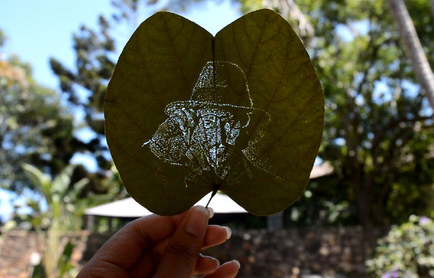 I Create Detailed Portraits On Leaves By Making Tiny Holes