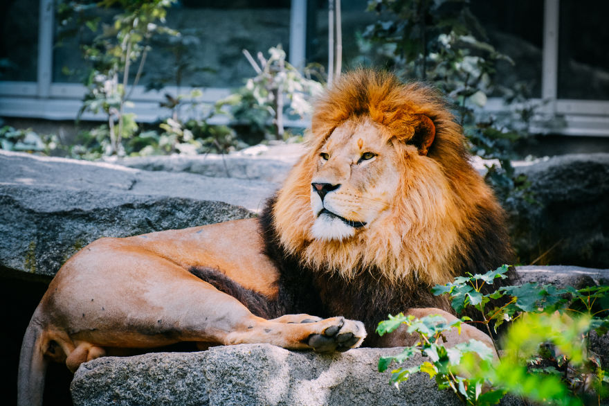 I Spent A Whole Week At The Zoo Photographing The Animals Living There