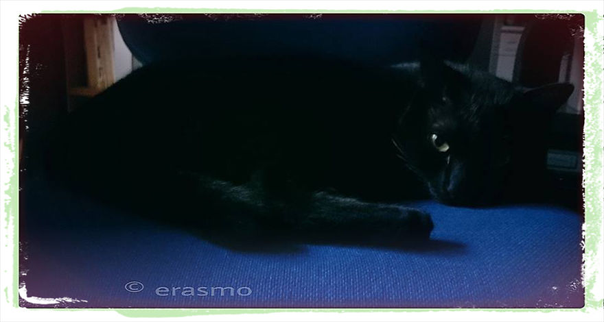 Erasmo Erasmo