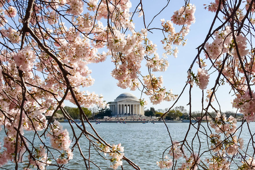 1 Scene, 4 Seasons: I Photographed The Same Washington, D.C. Scene Through Four Seasons