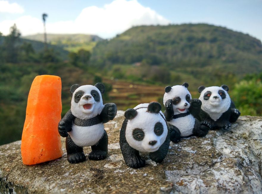 I Photographed The Adventures Of 4 Toy Pandas