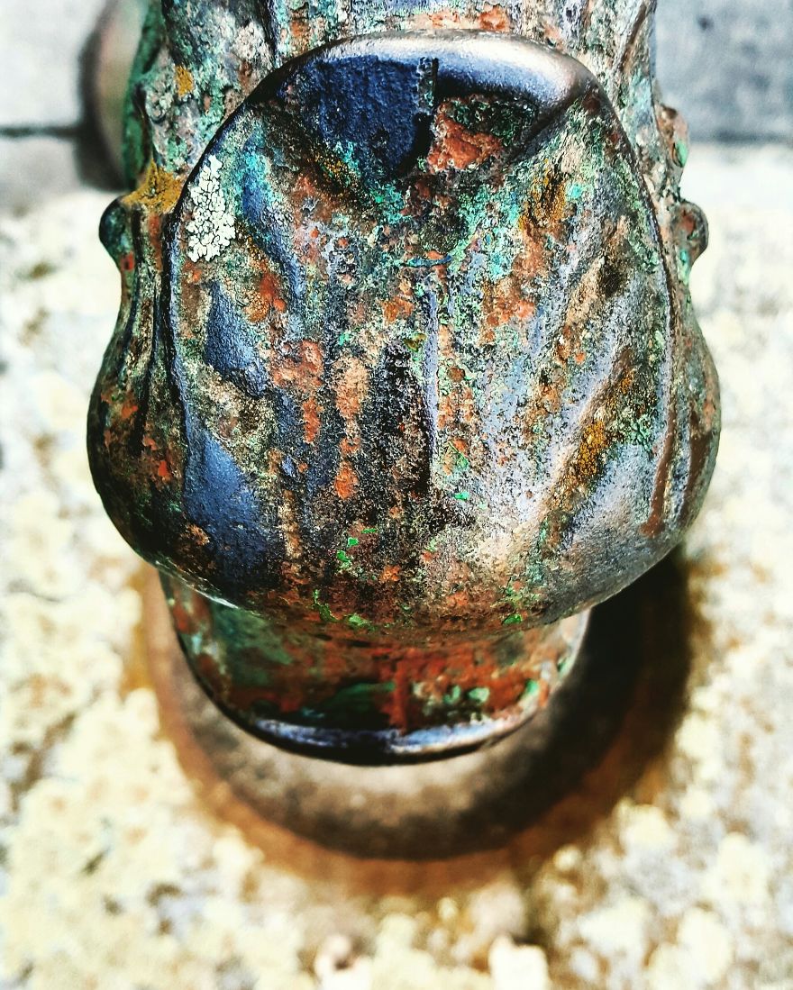 Beauty In Detail