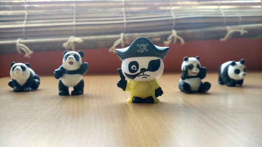 I Photographed The Adventures Of 4 Toy Pandas
