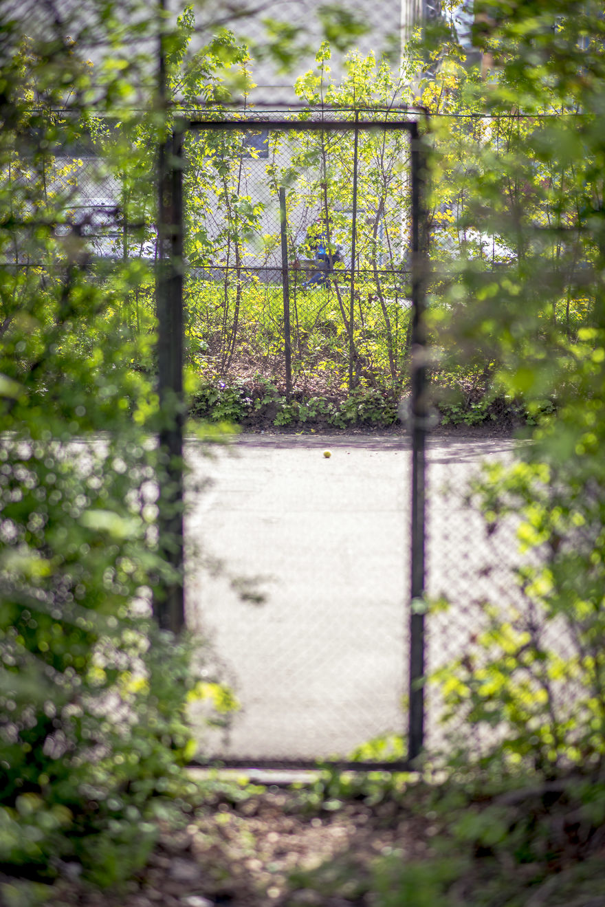 New Lens, New Bokeh