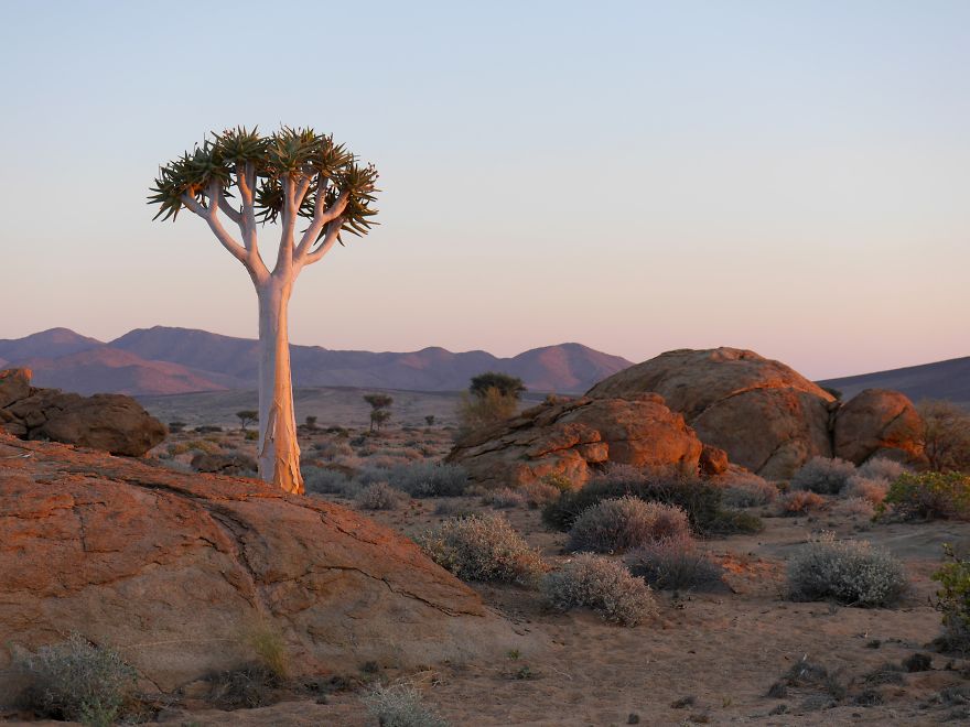 Namibia / Africa