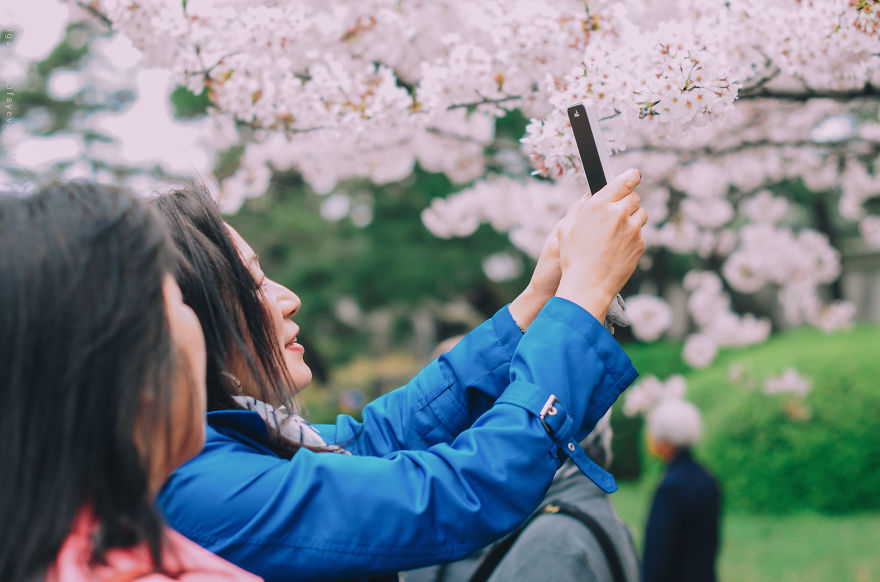 I Was Lucky To Capture The People Of Tokyo In The Boom Of Cherry Trees Blossoming