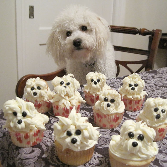 Would You Like Some Pupcakes?