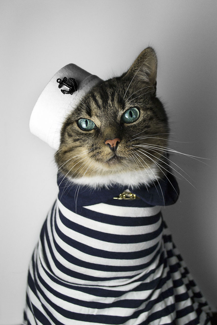 I Turned My Cat Into A Fashion Diva After She Was Diagnosed With Feline Leukaemia