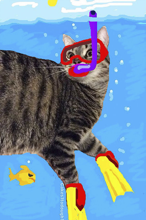 Snapchat + Cats = Snapcats
