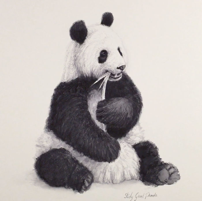 I Painted A Giant Panda In Watercolours And Made A Video Of It